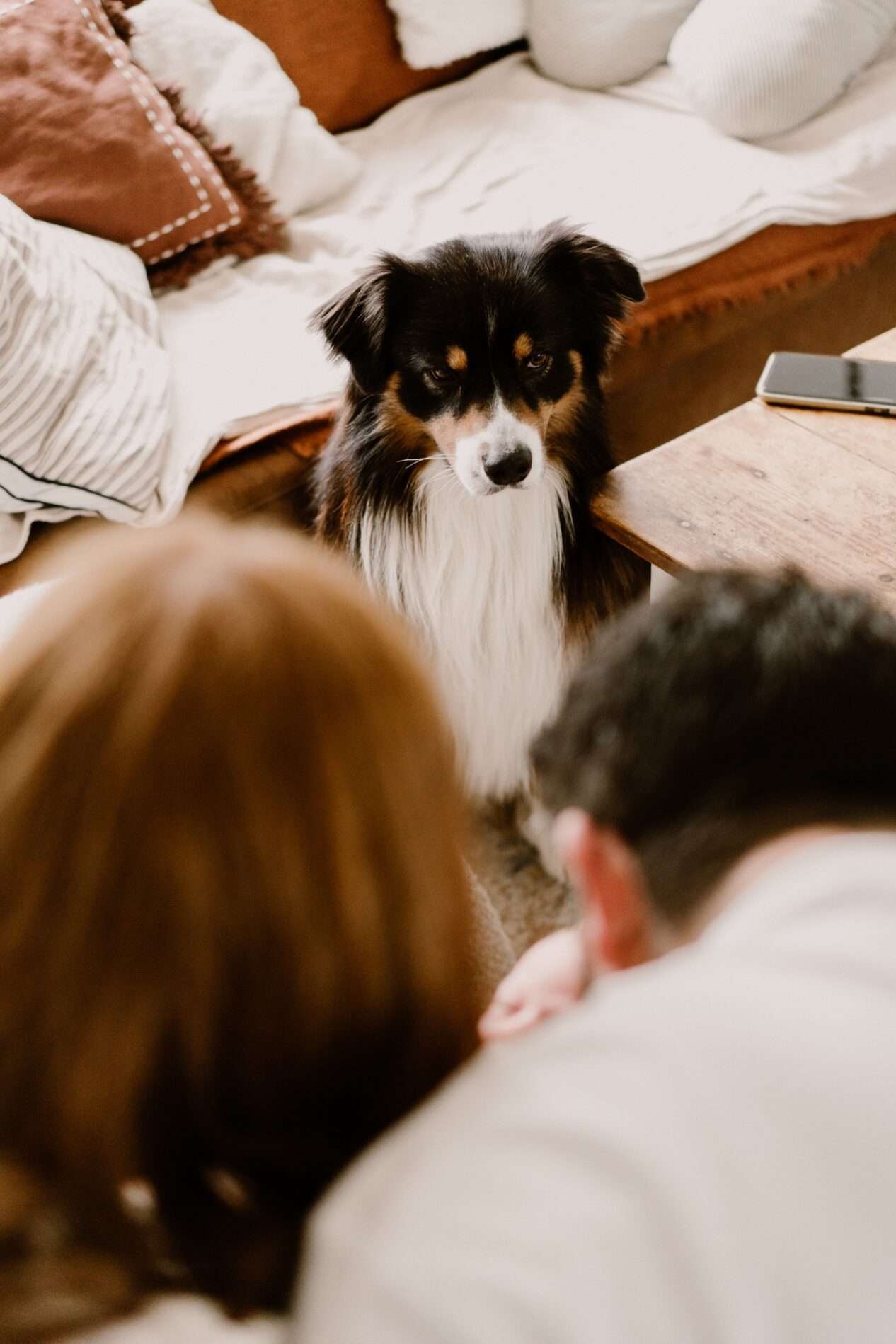 chien séance photo naissance